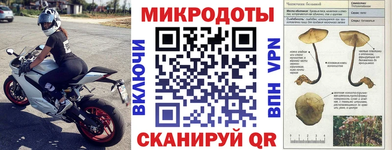 Псилоцибиновые грибы ЛСД  Купить где  Суздаль 