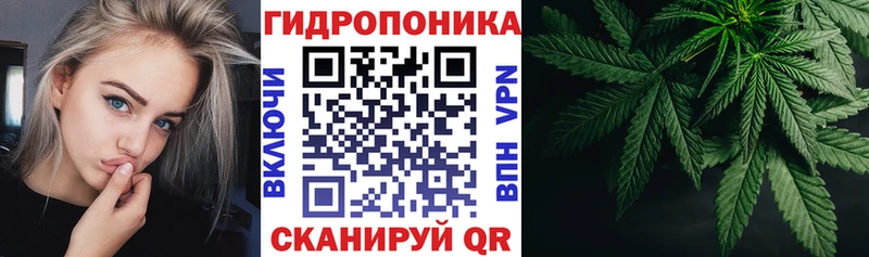 Бошки Шишки марихуана  Купить закладки  Суздаль 
